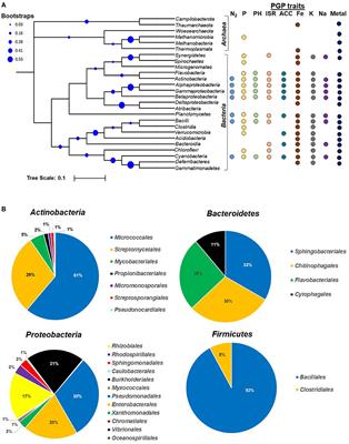 Plant Growth-Promoting Microbe Mediated Uptake of Essential Nutrients (Fe, P, K) for Crop Stress Management: Microbe–Soil–Plant Continuum